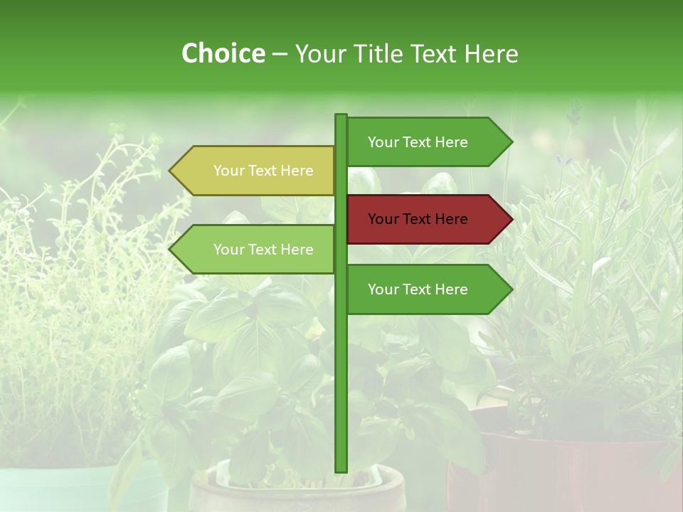 South Sitting Smile PowerPoint Template