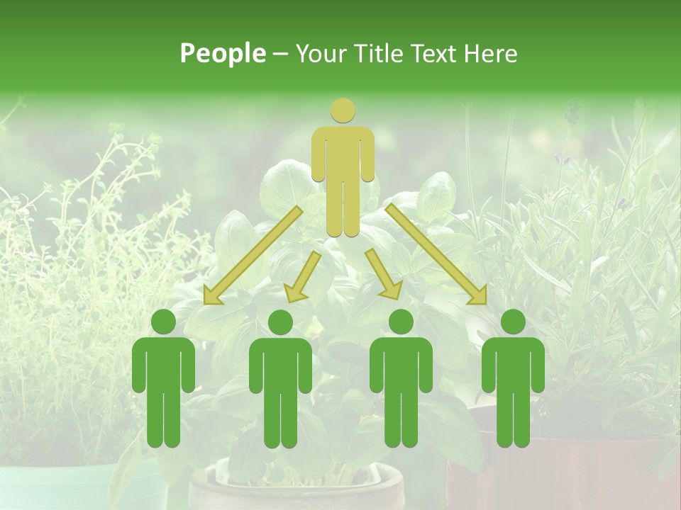 South Sitting Smile PowerPoint Template