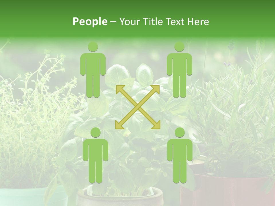 South Sitting Smile PowerPoint Template