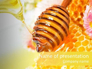 Taste Essential Yellow PowerPoint Template