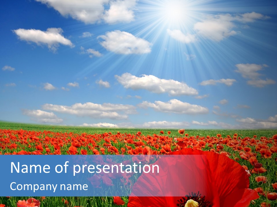 Paradise Plain Crops PowerPoint Template