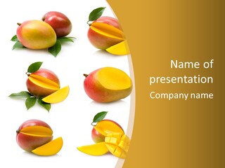 Appetizing Bright Tropical PowerPoint Template