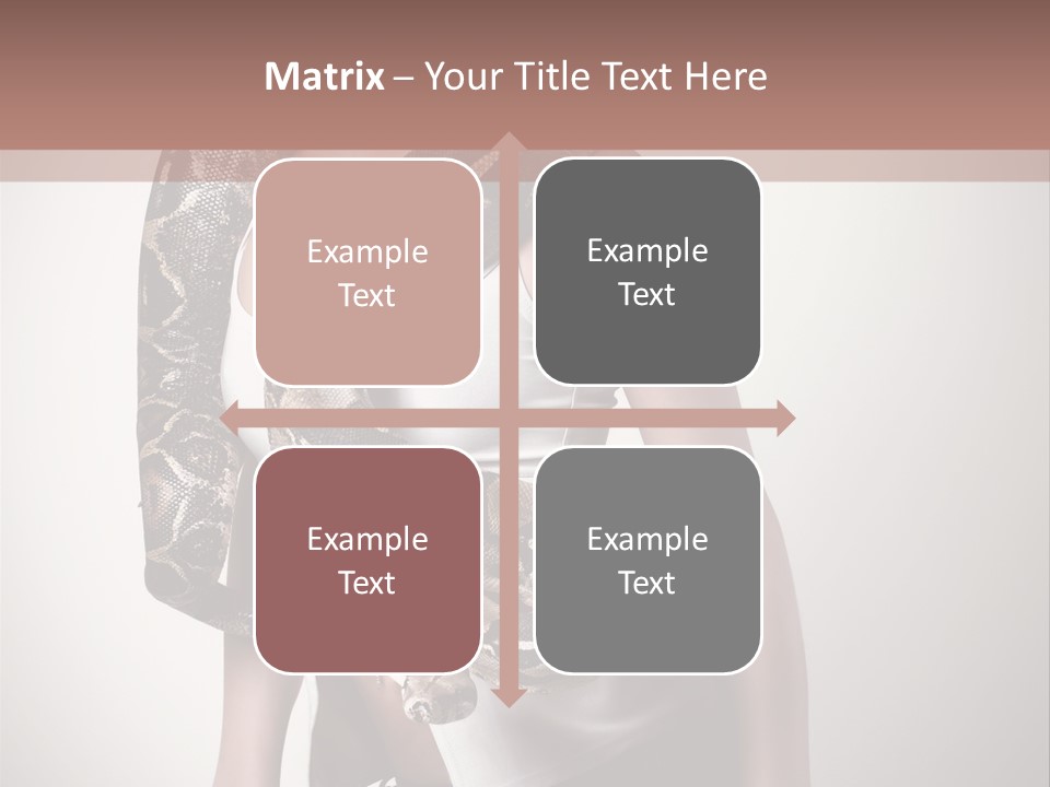 Wild Constrictor Snake PowerPoint Template