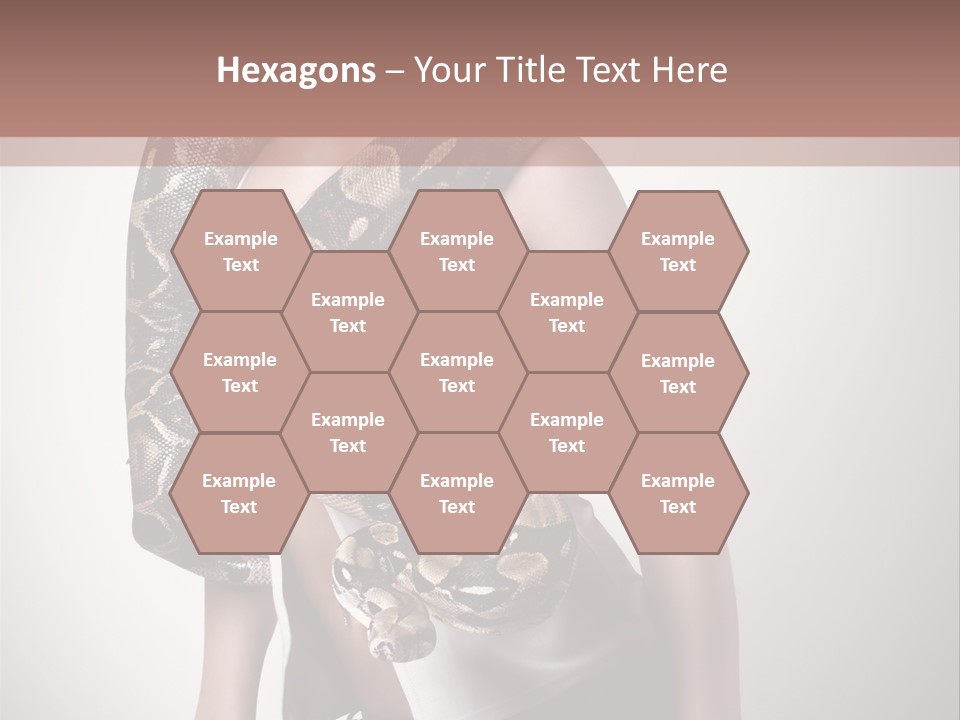 Wild Constrictor Snake PowerPoint Template