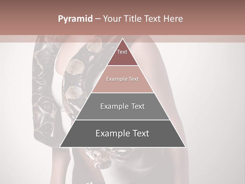 Wild Constrictor Snake PowerPoint Template