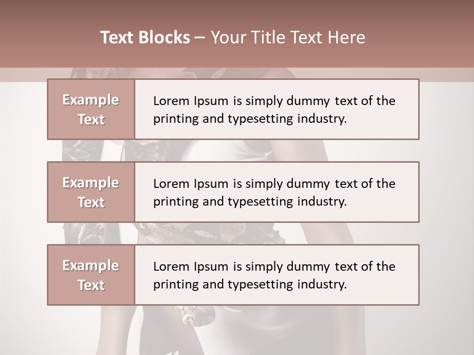 Wild Constrictor Snake PowerPoint Template