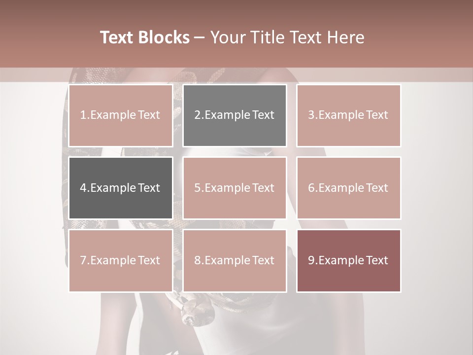 Wild Constrictor Snake PowerPoint Template
