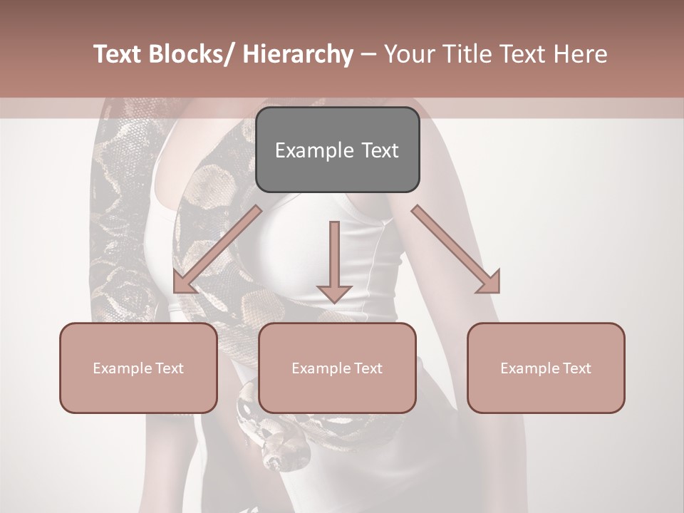 Wild Constrictor Snake PowerPoint Template