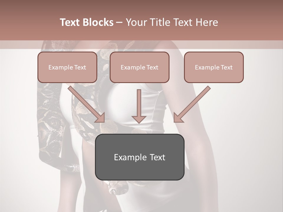 Wild Constrictor Snake PowerPoint Template