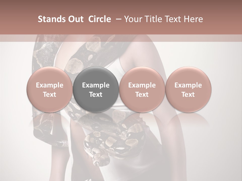 Wild Constrictor Snake PowerPoint Template