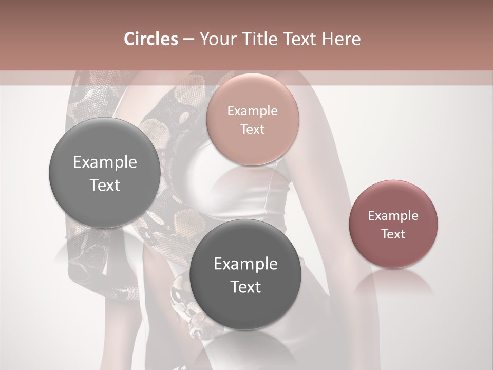 Wild Constrictor Snake PowerPoint Template