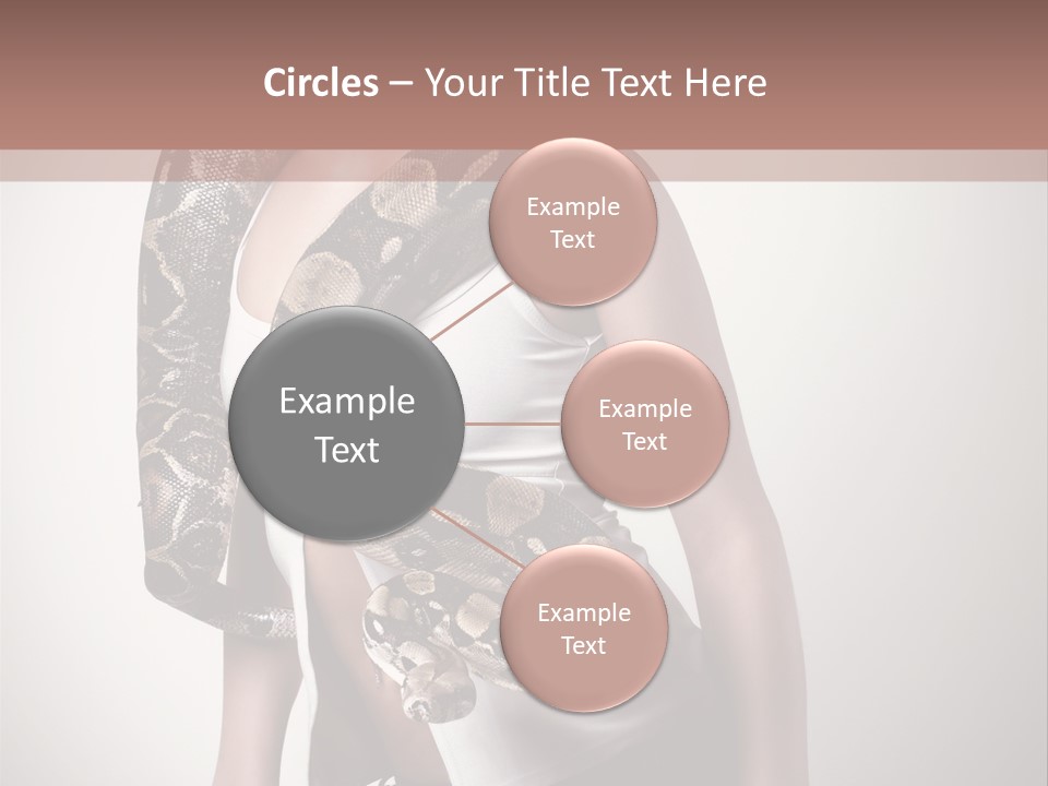 Wild Constrictor Snake PowerPoint Template