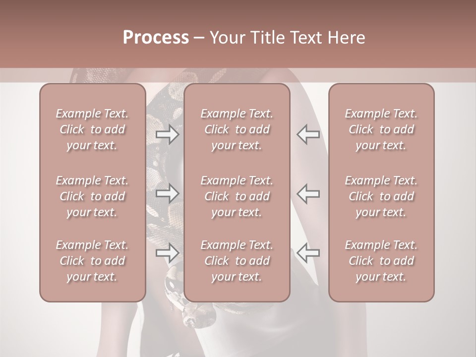 Wild Constrictor Snake PowerPoint Template
