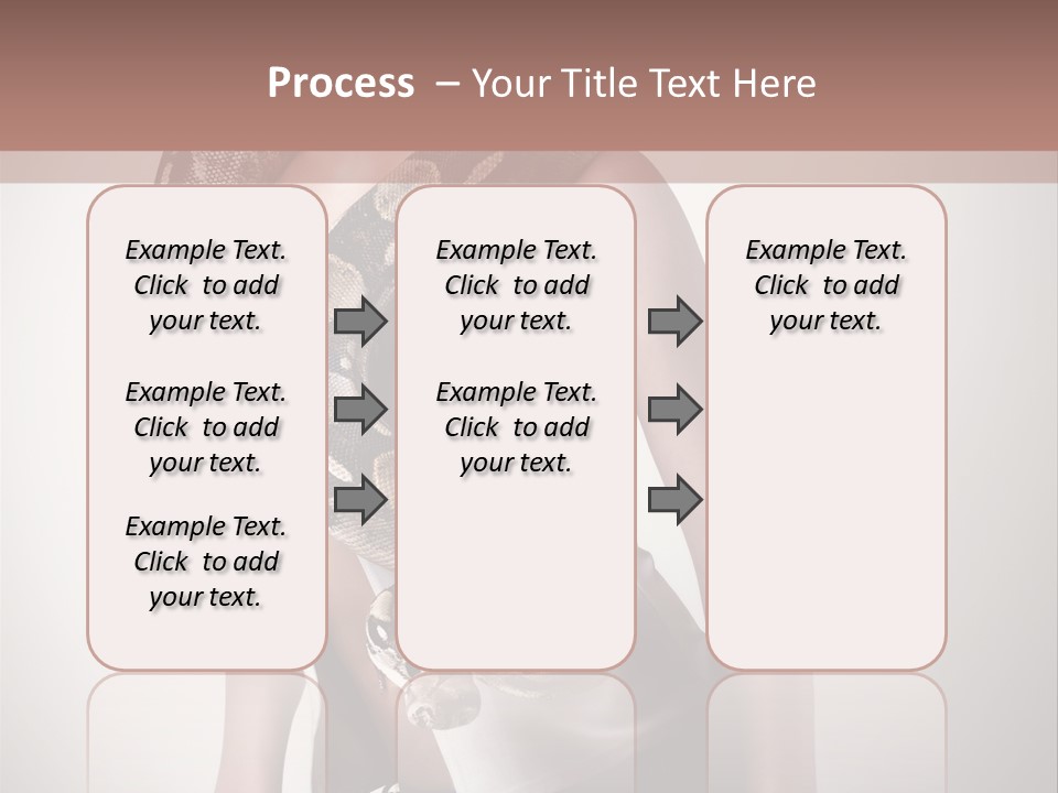 Wild Constrictor Snake PowerPoint Template