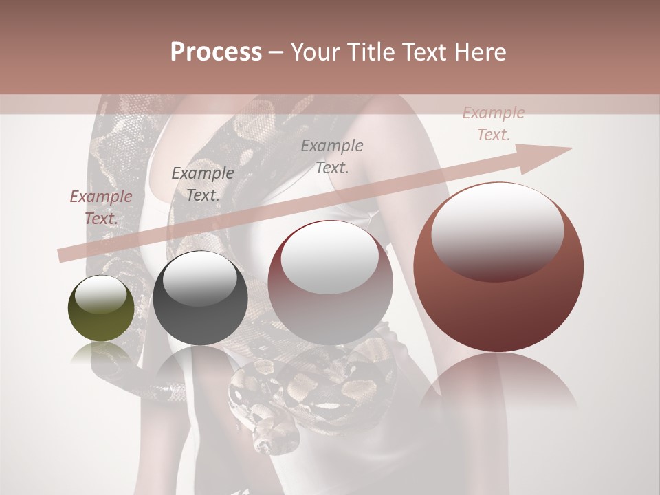 Wild Constrictor Snake PowerPoint Template