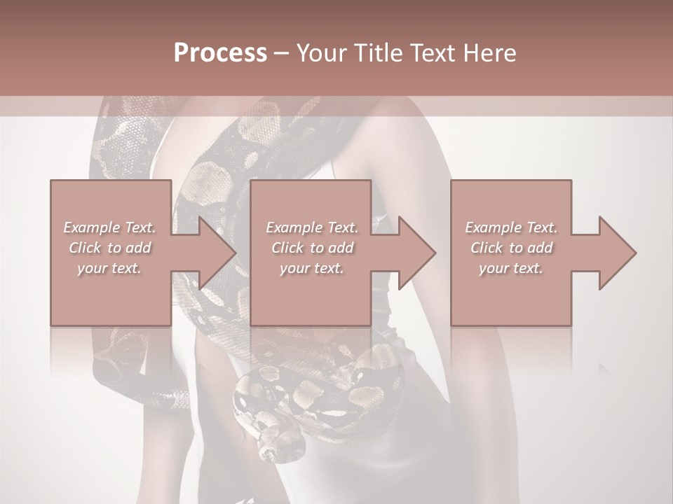 Wild Constrictor Snake PowerPoint Template