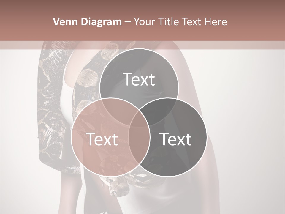 Wild Constrictor Snake PowerPoint Template