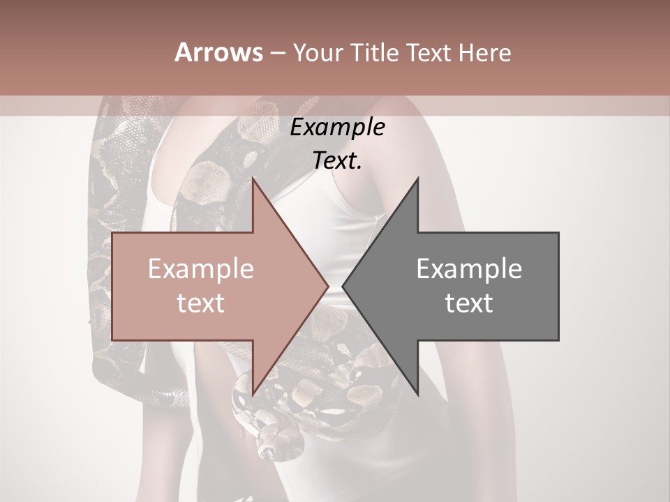 Wild Constrictor Snake PowerPoint Template