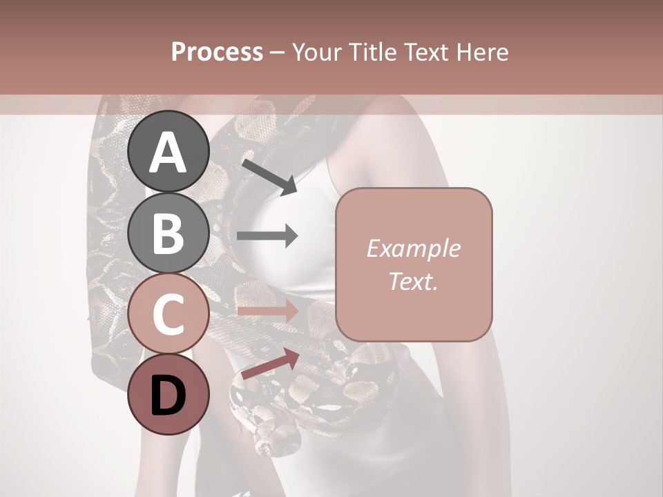 Wild Constrictor Snake PowerPoint Template