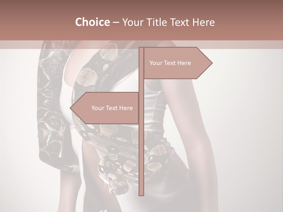 Wild Constrictor Snake PowerPoint Template