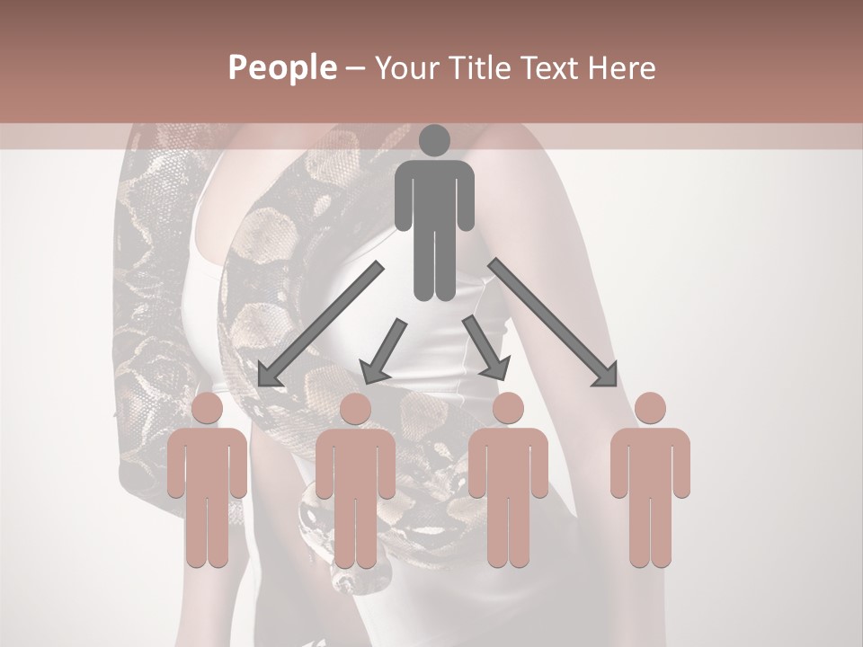 Wild Constrictor Snake PowerPoint Template