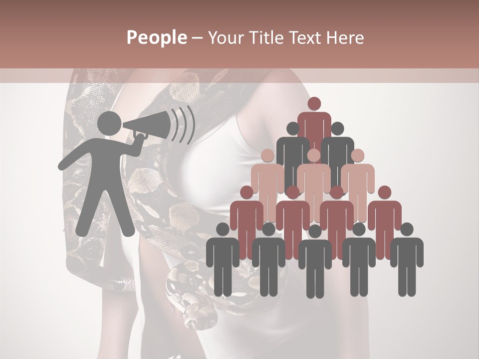 Wild Constrictor Snake PowerPoint Template