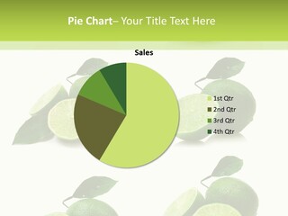 Kiwi Reflection Seasonal PowerPoint Template