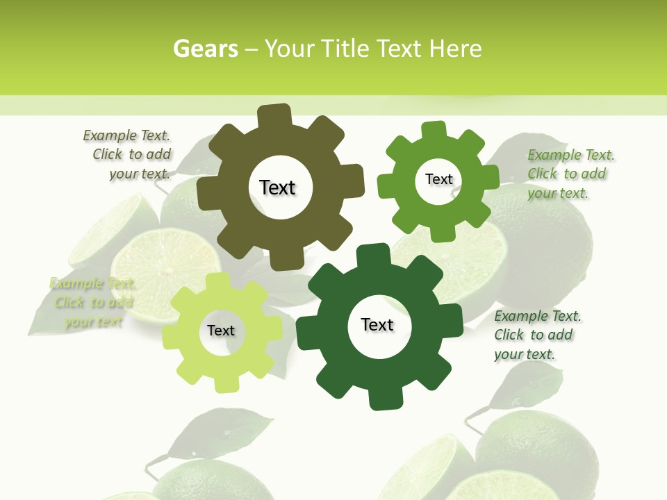 Kiwi Reflection Seasonal PowerPoint Template