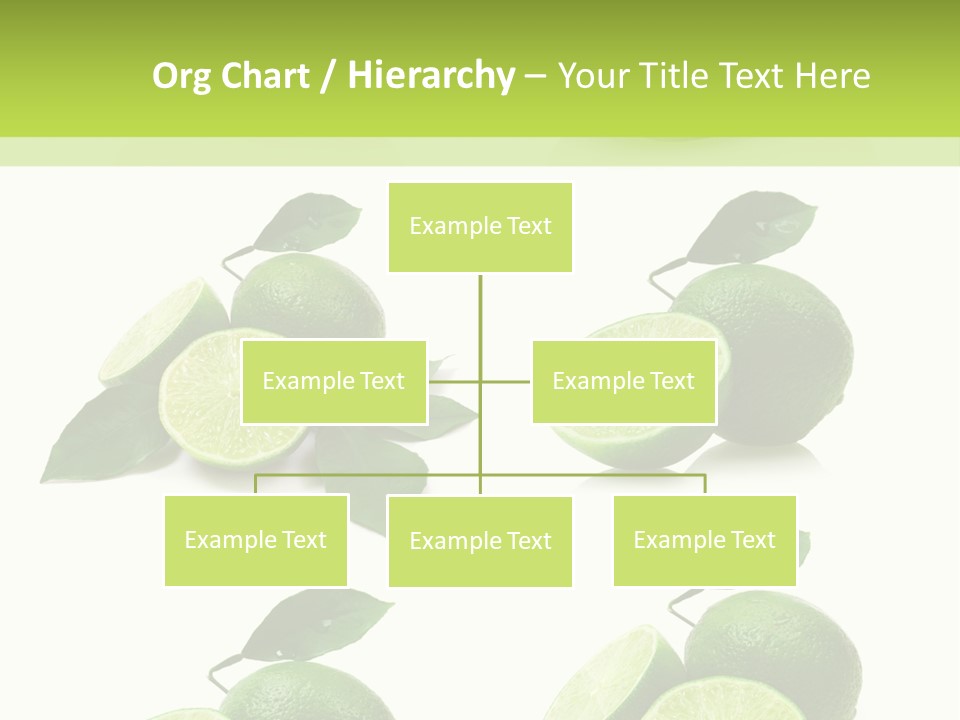 Kiwi Reflection Seasonal PowerPoint Template