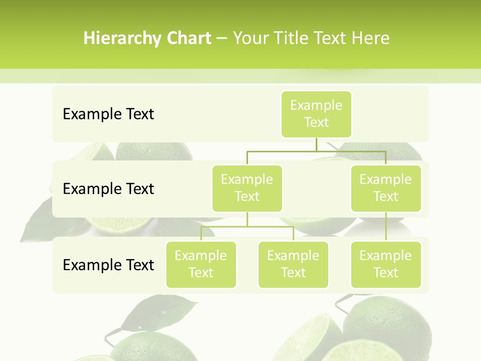Kiwi Reflection Seasonal PowerPoint Template