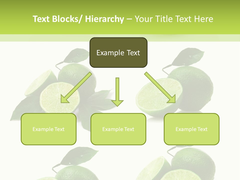 Kiwi Reflection Seasonal PowerPoint Template