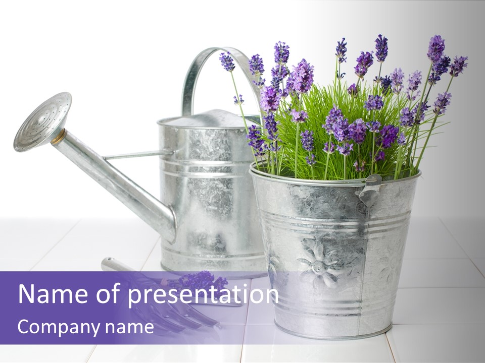 Can Herb Gardening PowerPoint Template