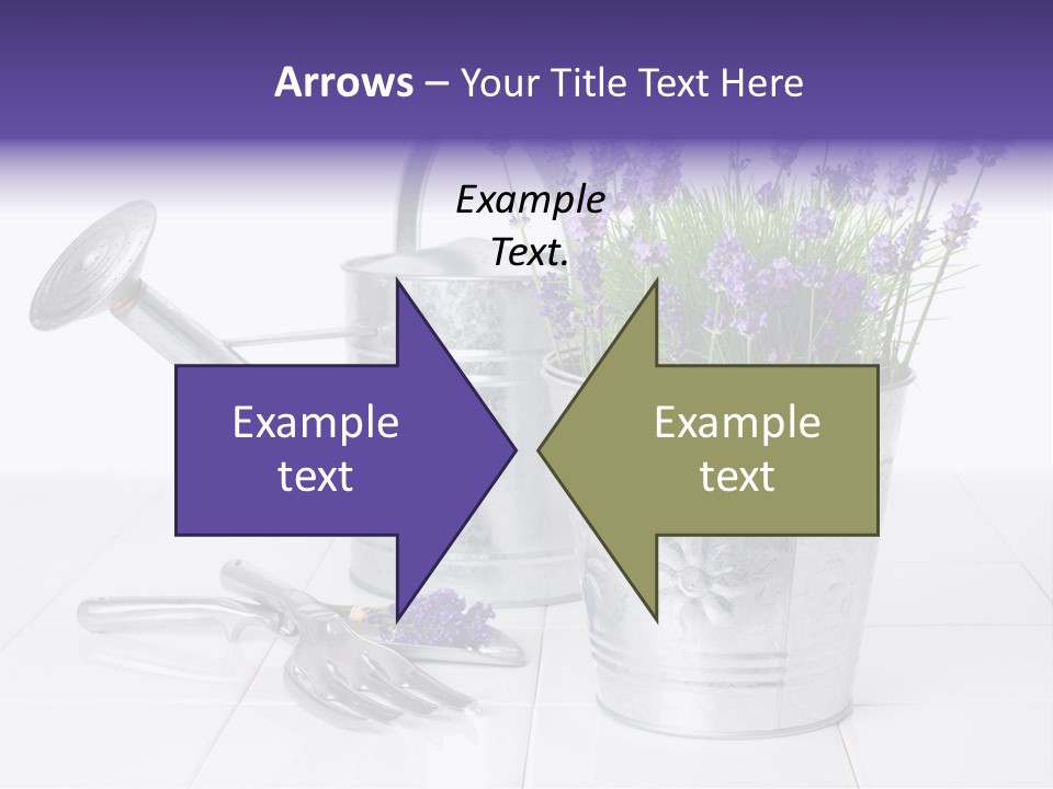 Can Herb Gardening PowerPoint Template
