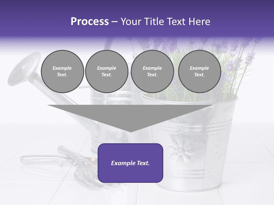 Can Herb Gardening PowerPoint Template