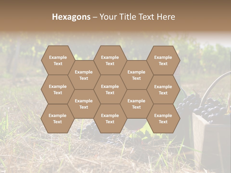 Environment Nature Fruit PowerPoint Template