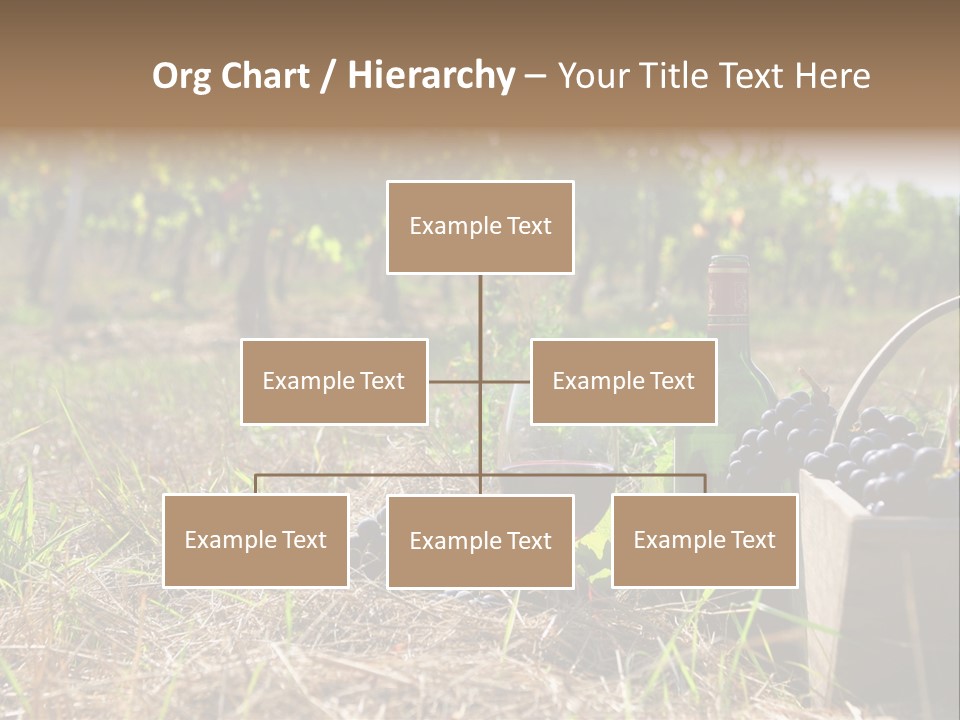Environment Nature Fruit PowerPoint Template