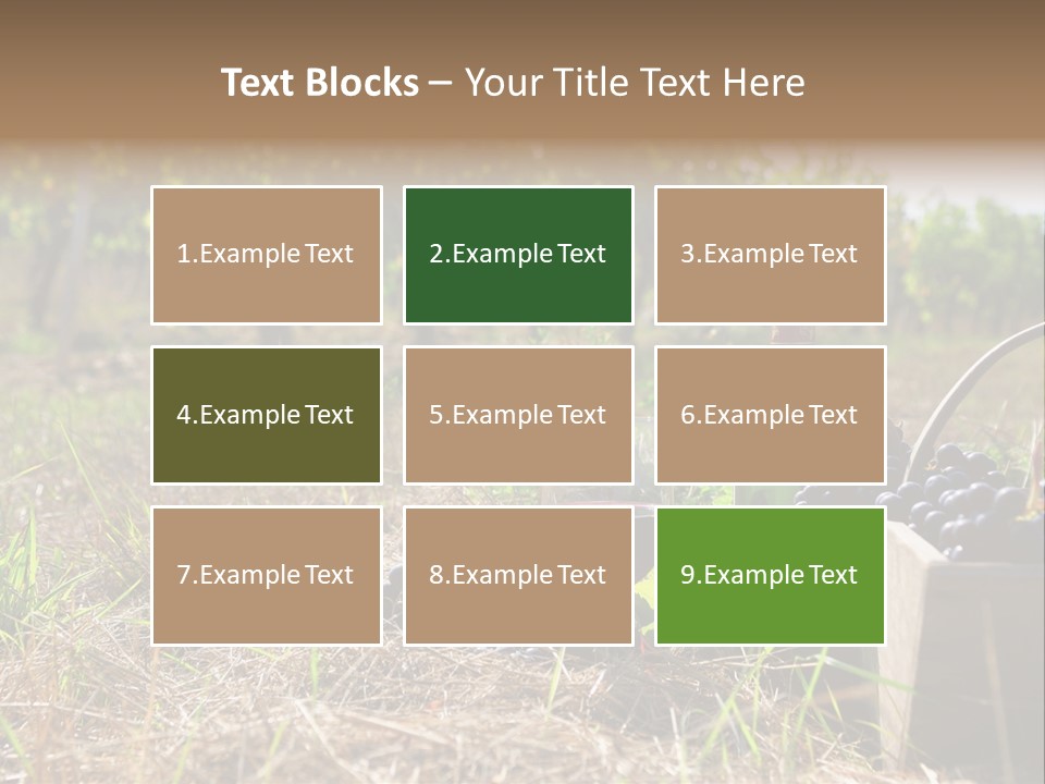 Environment Nature Fruit PowerPoint Template