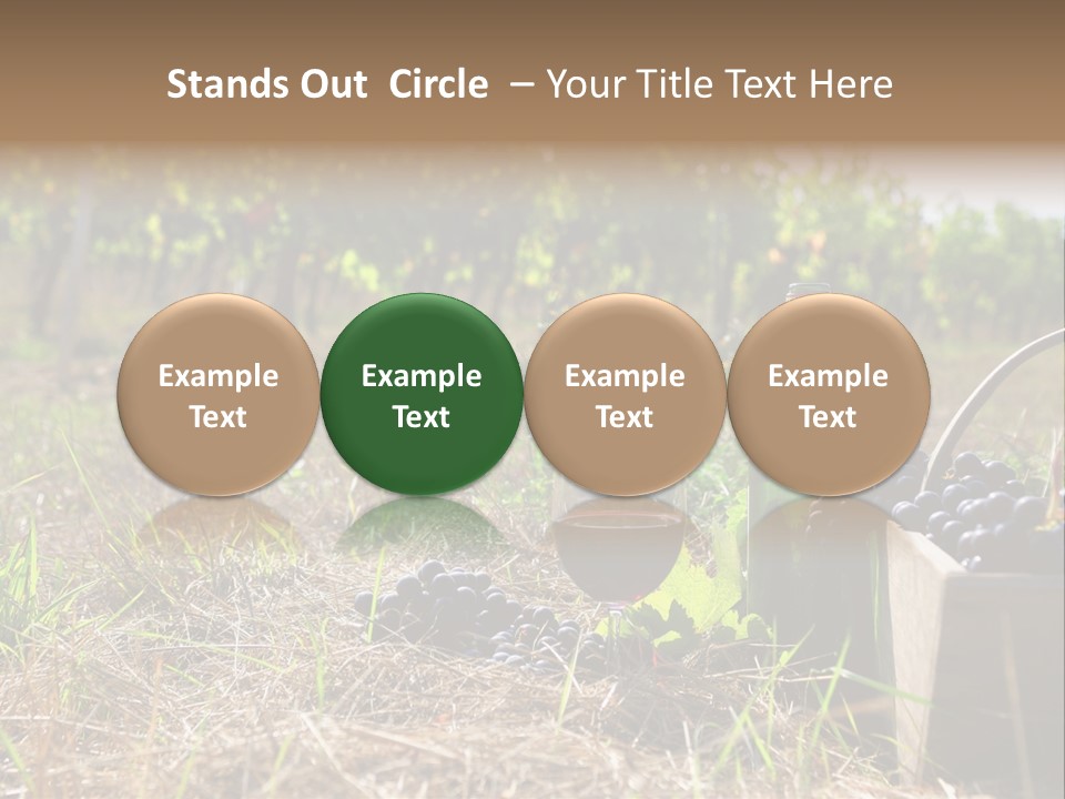 Environment Nature Fruit PowerPoint Template