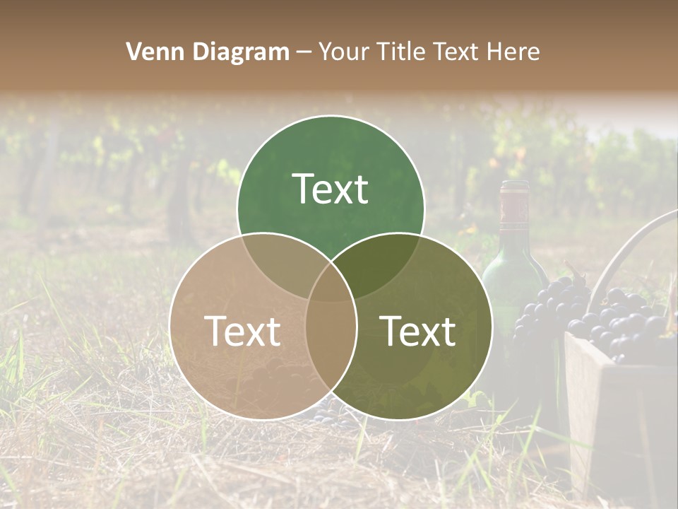 Environment Nature Fruit PowerPoint Template