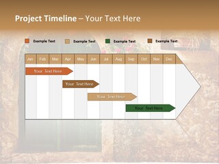 Door Medieval Exterior PowerPoint Template