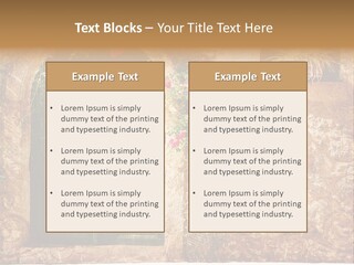Door Medieval Exterior PowerPoint Template