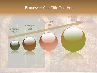 Door Medieval Exterior PowerPoint Template