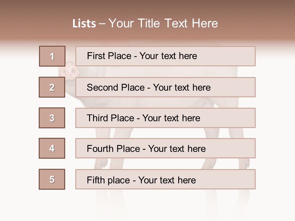 White Pigtailed Piglet PowerPoint Template
