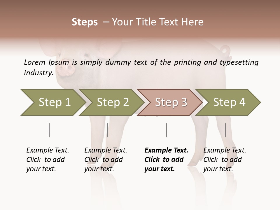 White Pigtailed Piglet PowerPoint Template
