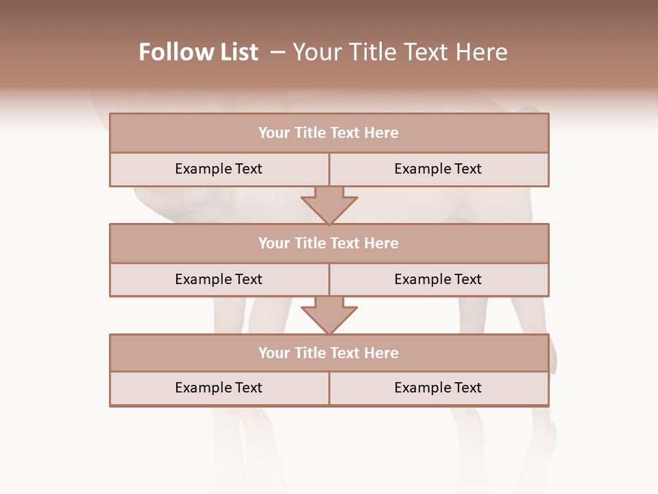 White Pigtailed Piglet PowerPoint Template
