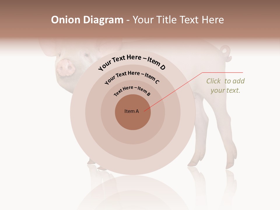 White Pigtailed Piglet PowerPoint Template