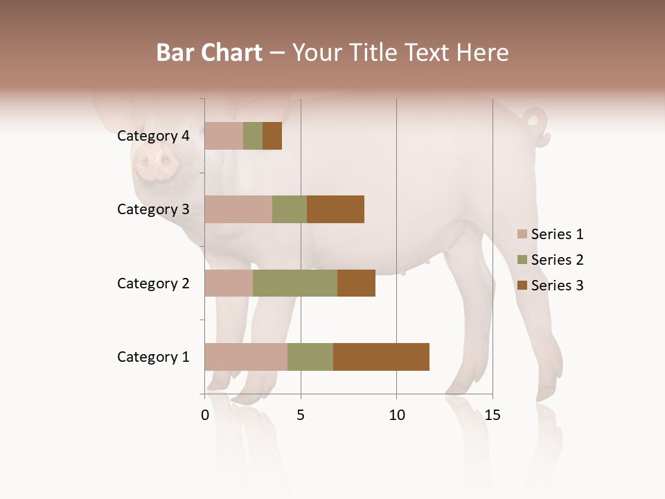 White Pigtailed Piglet PowerPoint Template