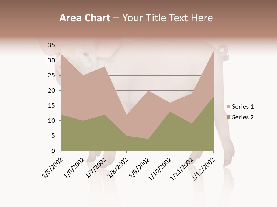 White Pigtailed Piglet PowerPoint Template
