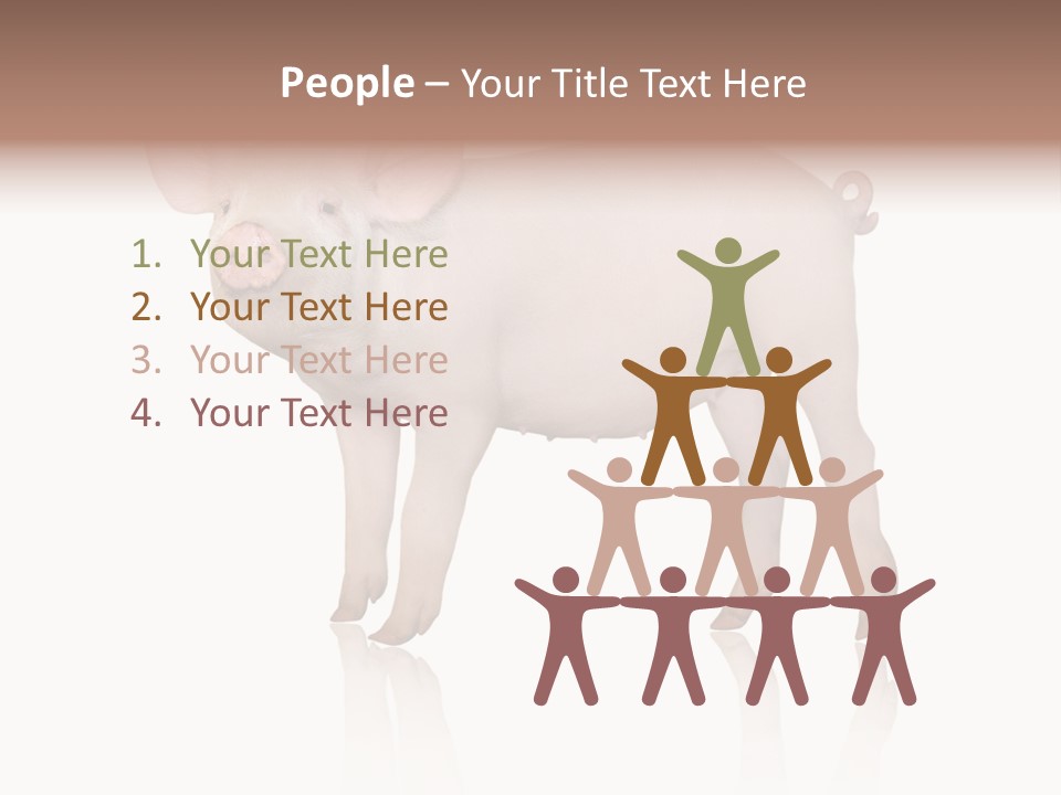 White Pigtailed Piglet PowerPoint Template