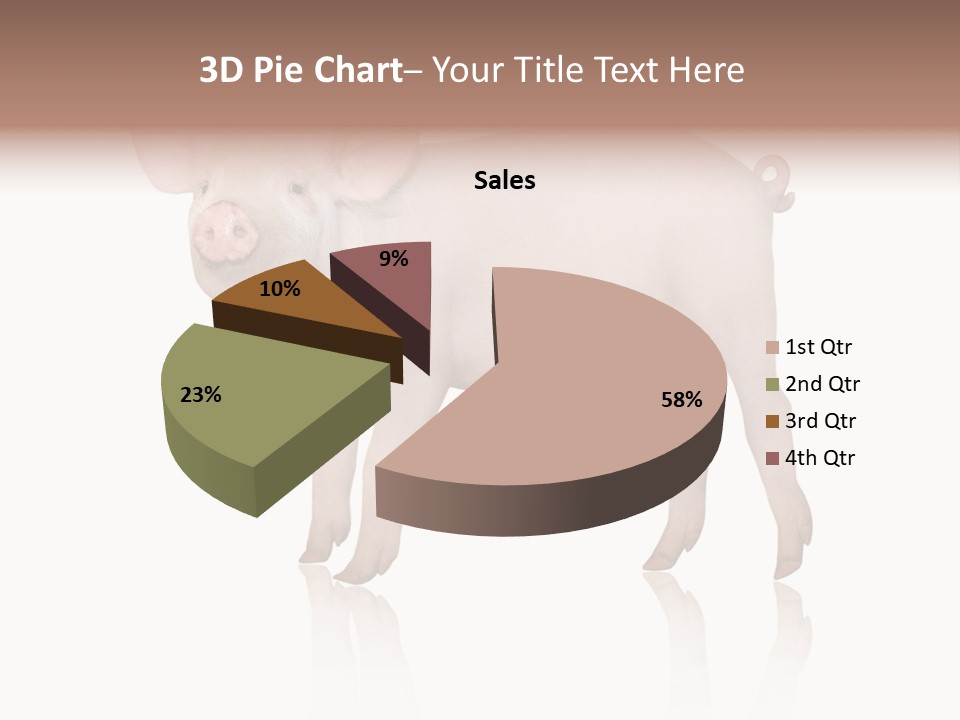 White Pigtailed Piglet PowerPoint Template